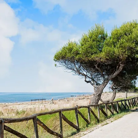 Апартаменти Modern In Бібіоне